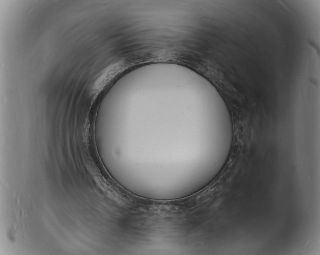 X0000101670242200807241447