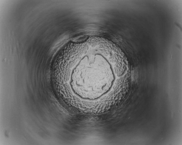 X0000101670243200807241447