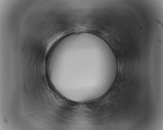 X0000101670244200807241447