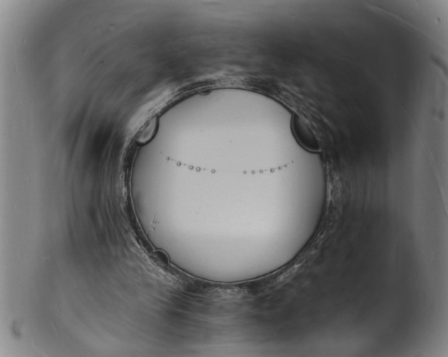 X0000101670245200807241447