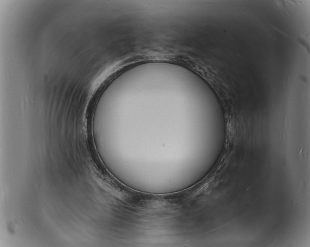 X0000101670246200807241447