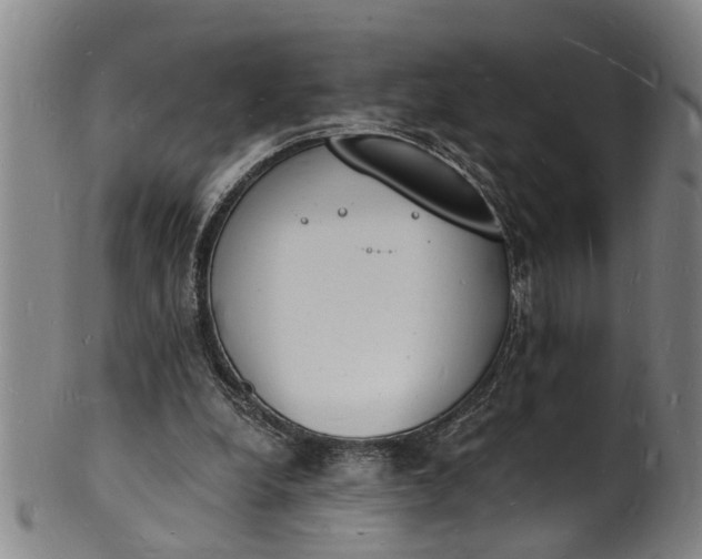 X0000101670248200807241447