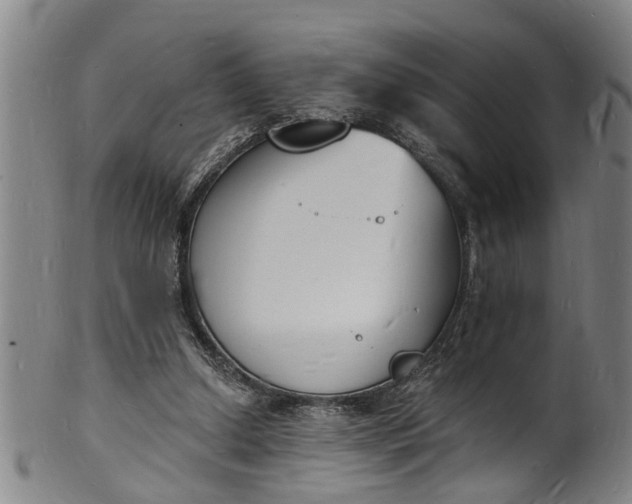 X0000101670250200807241447