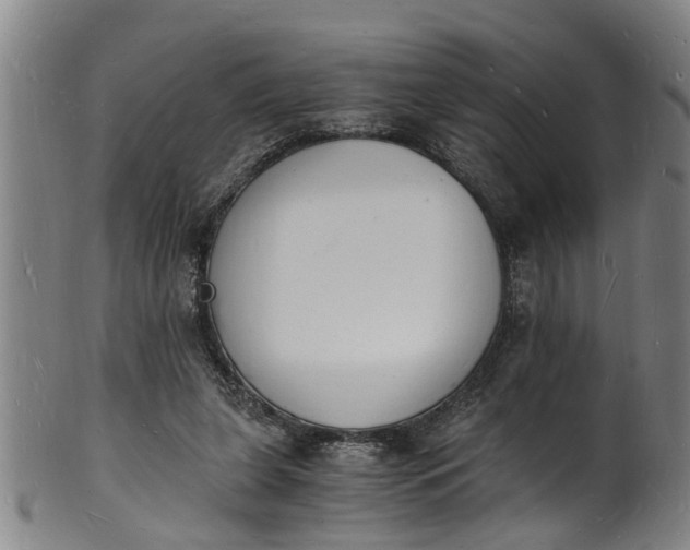 X0000101670255200807241447