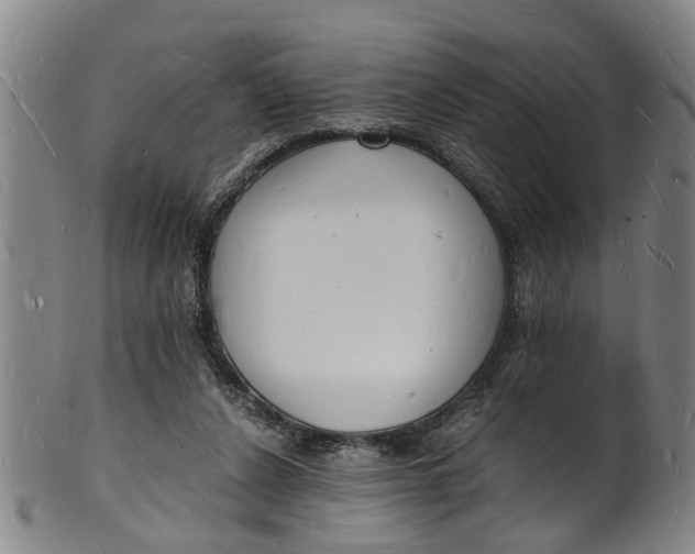 X0000101670256200807241447
