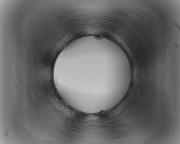 X0000101670257200807241447