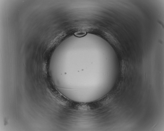 X0000101670258200807241447