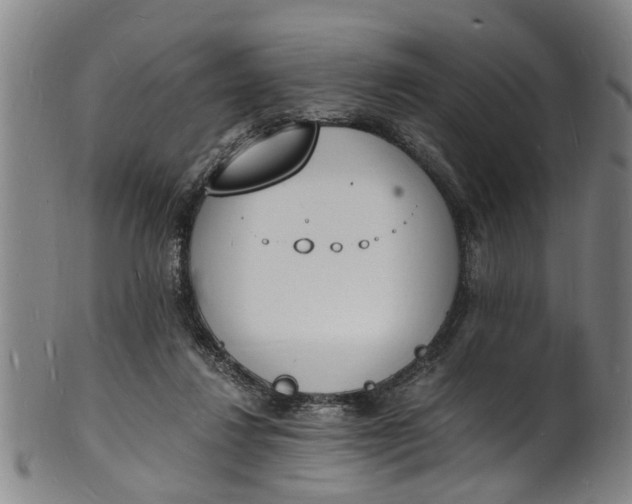X0000101670260200807241447