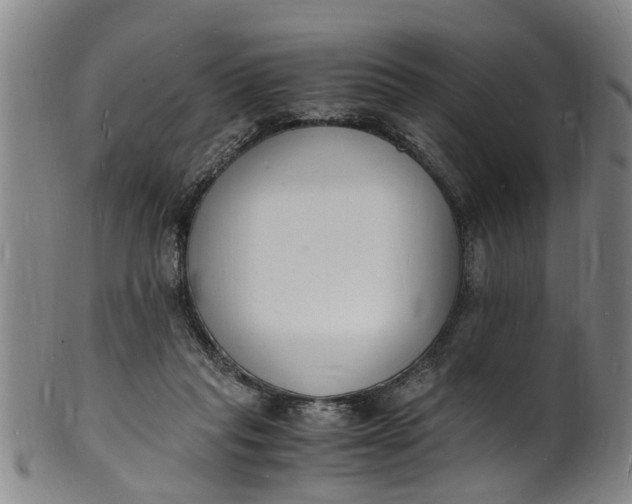 X0000101670261200807241447