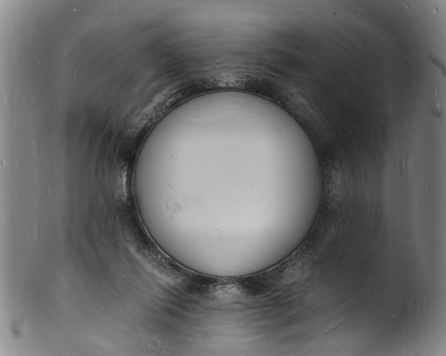 X0000101670262200807241447