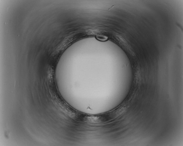 X0000101670265200807241447