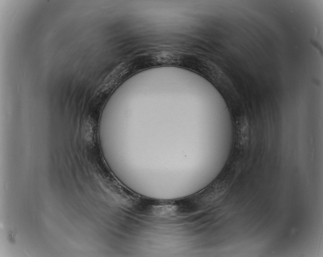 X0000101670266200807241447