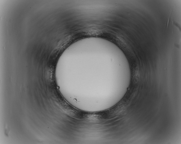 X0000101670268200807241447