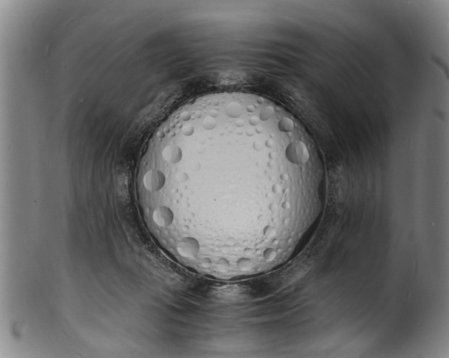 X0000101670269200807241447