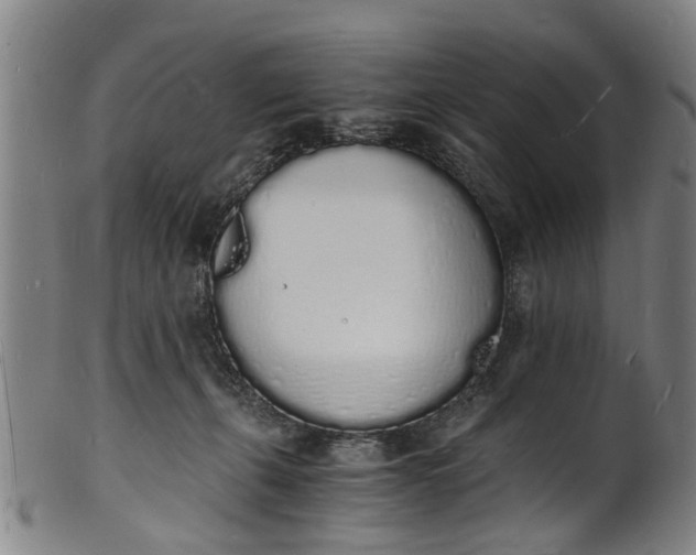X0000101670271200807241447