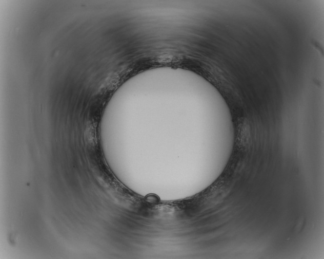 X0000101670272200807241447