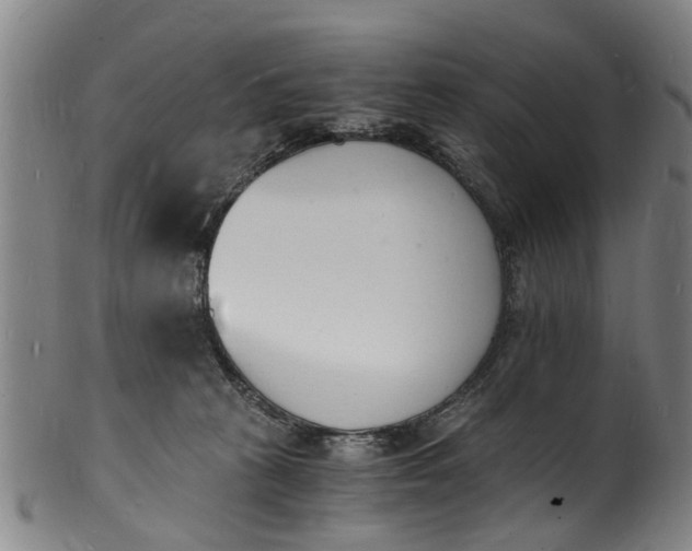 X0000101670273200807241447