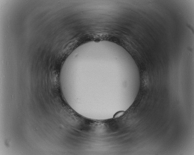 X0000101670276200807241447