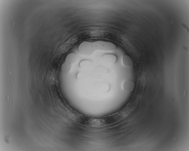X0000101670277200807241447