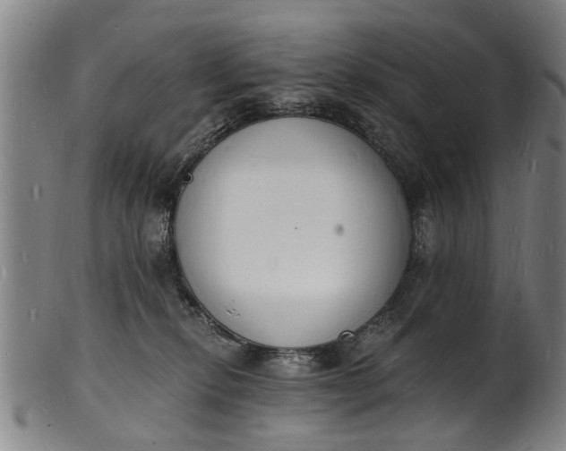X0000101670278200807241447