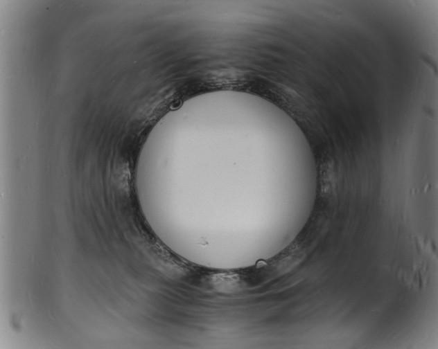 X0000101670279200807241448