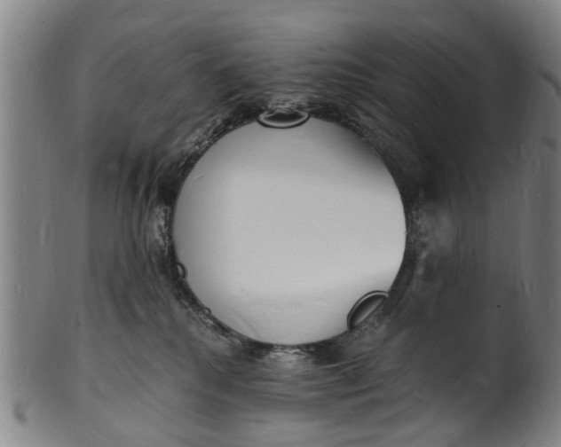X0000101670280200807241448