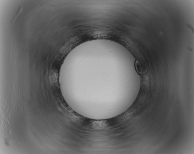 X0000101670281200807241448