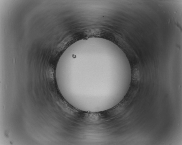 X0000101670282200807241448