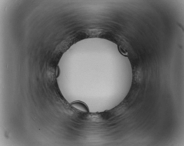 X0000101670283200807241448