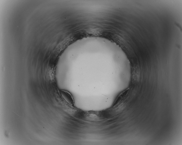 X0000101670285200807241448