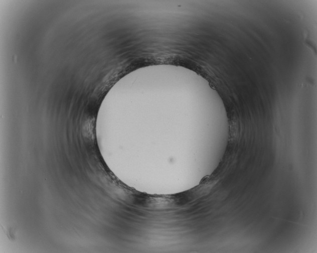 X0000101670286200807241448