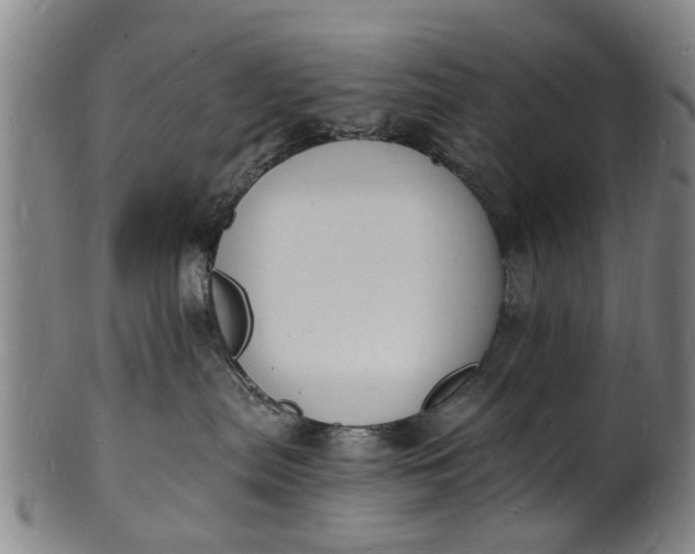 X0000101670287200807241448