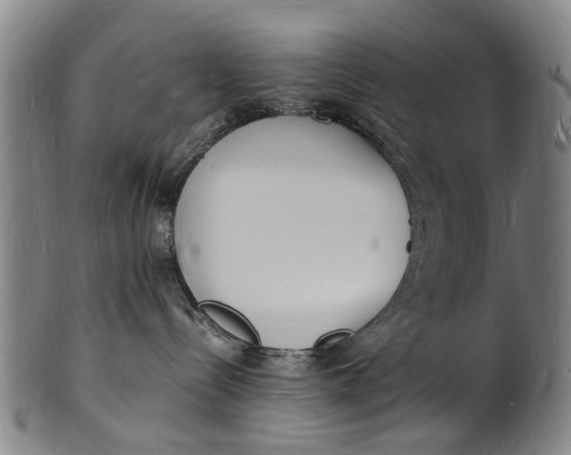 X0000101670288200807241448
