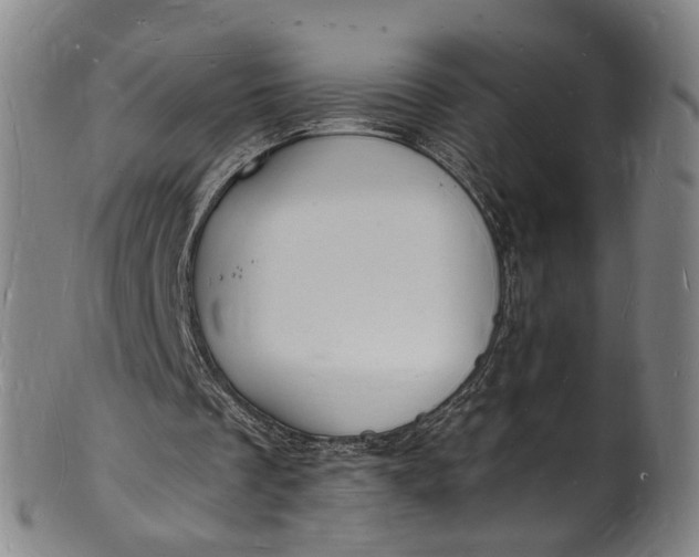 X0000101670289200807241447