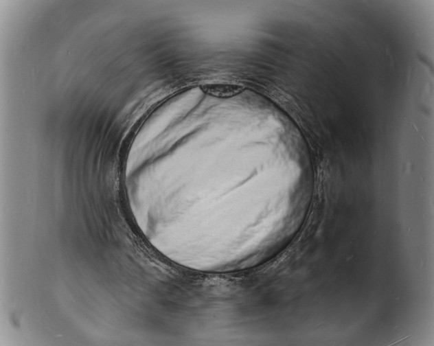 X0000101670290200807241447