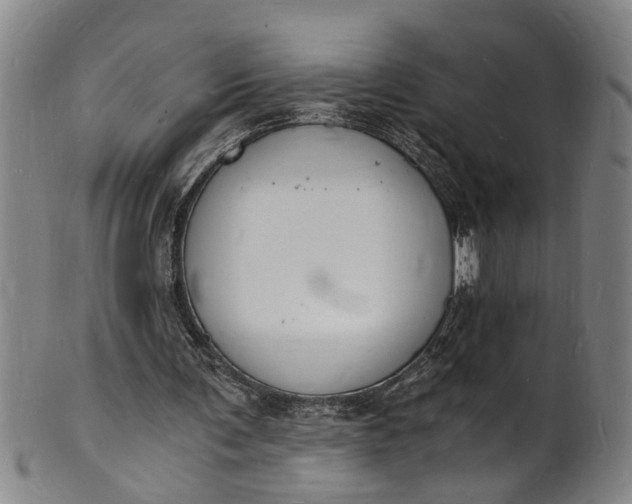 X0000101670291200807241447