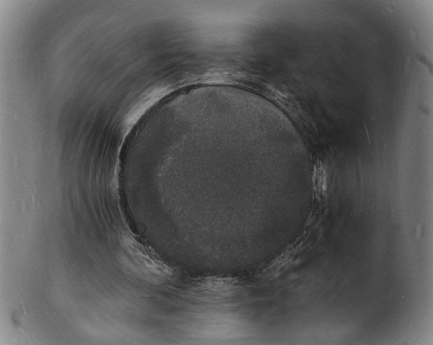 X0000101670292200807241447