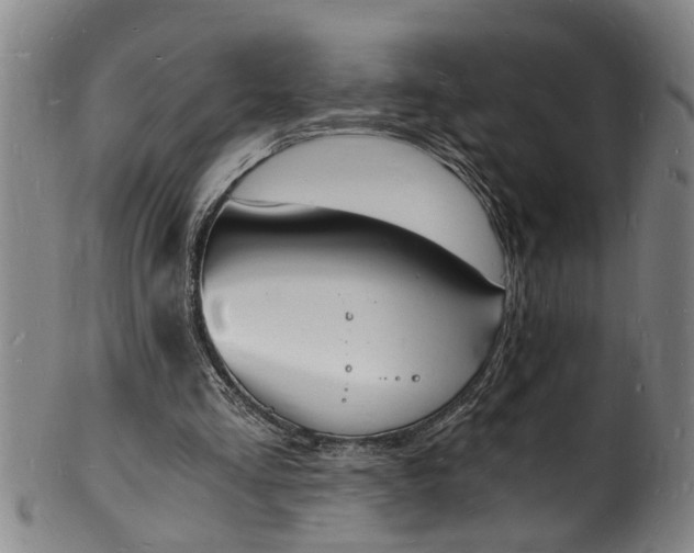 X0000101670293200807241447