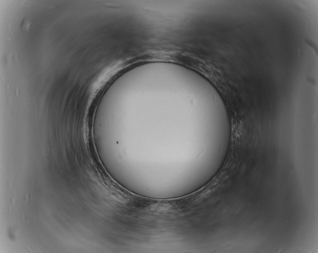 X0000101670294200807241447