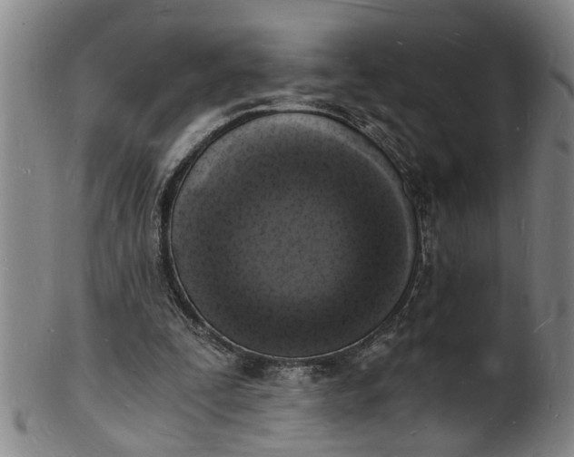 X0000101670295200807241447