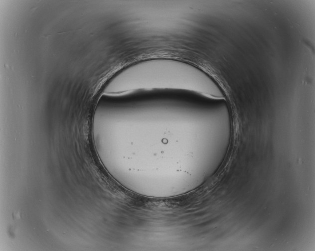 X0000101670297200807241447