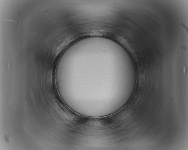 X0000101670299200807241447