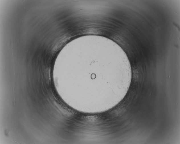 X0000101670302200807241447