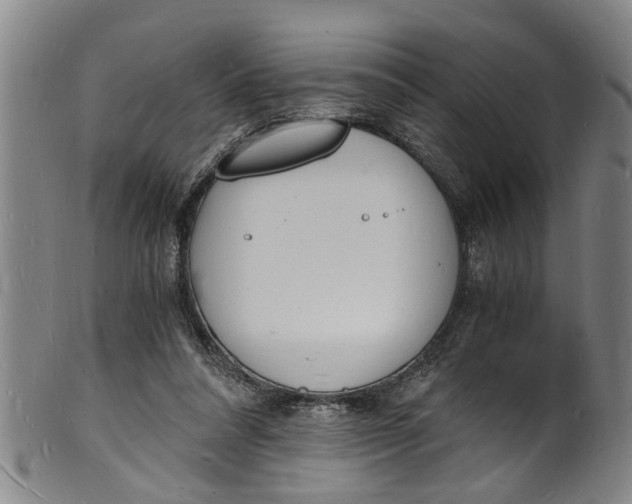 X0000101670304200807241447