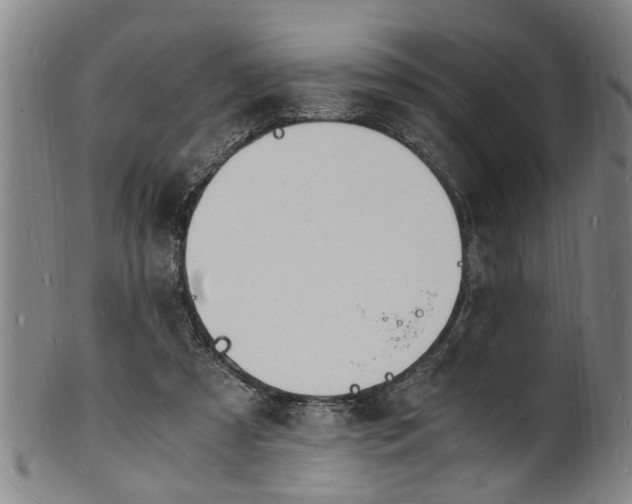 X0000101670305200807241447