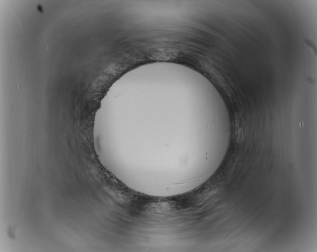 X0000101670307200807241447