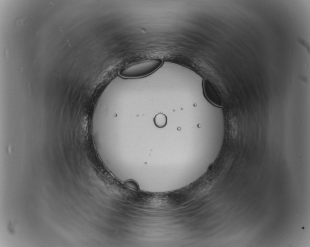 X0000101670308200807241447