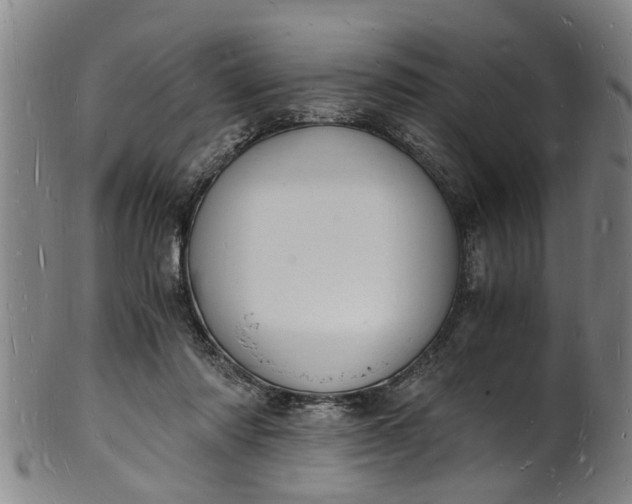 X0000101670310200807241447