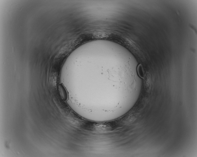 X0000101670315200807241446