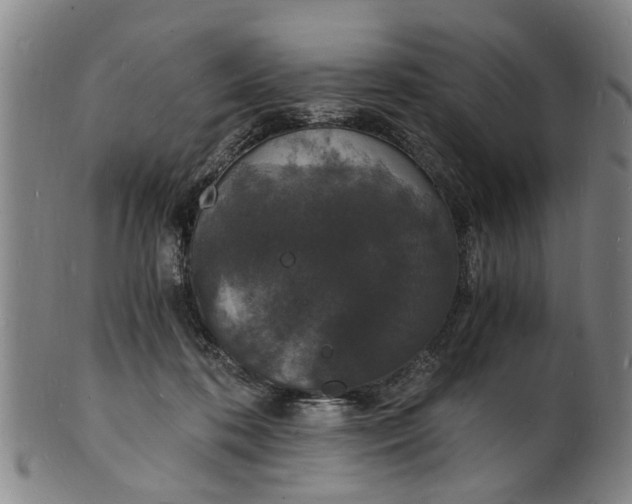 X0000101670316200807241446